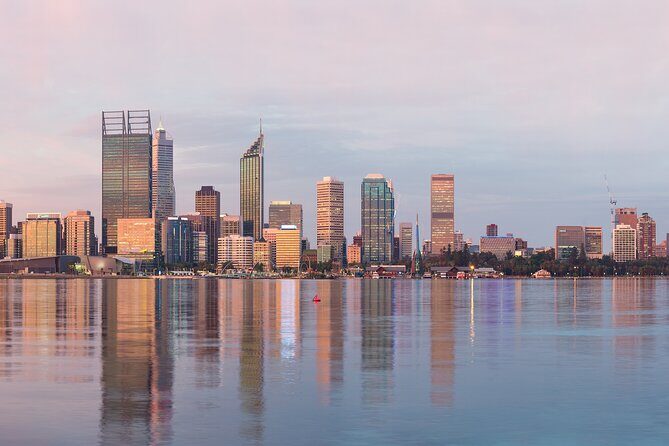Half Day Perth & Fremantle Highlights - Kings Park and Botanic Garden: Photo Time With the Best View Per Minute