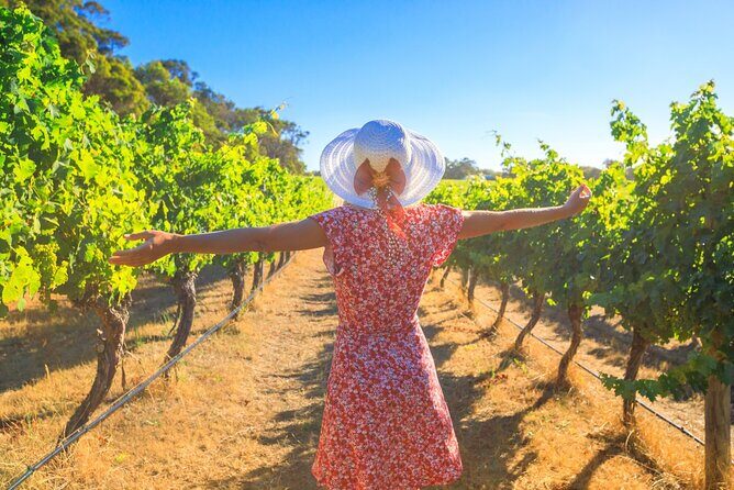 Half Day Swan Valley Afternoon Wine Tour - Premium Small Group Tour - Key Highlights You’ll Notice Fast