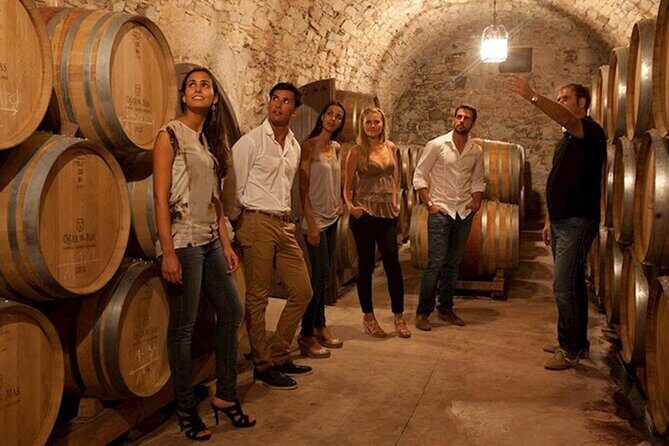 Half Day Swan Valley Afternoon Wine Tour - Premium Small Group Tour - The Gourmet Main Course Meal: More Than an Add-On