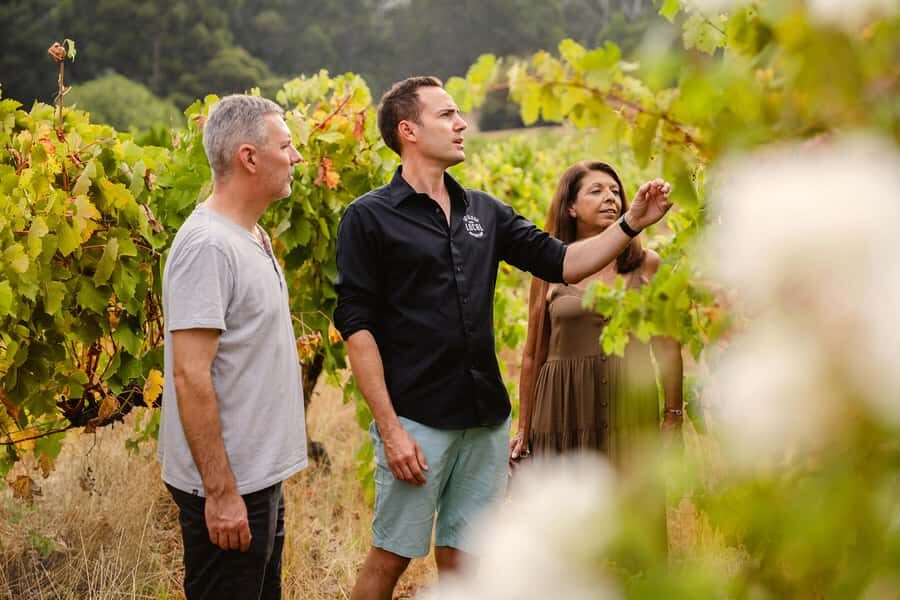 Half-Day Swan Valley Wine Tour with Tastings - From Perth - Half-day timing that actually works