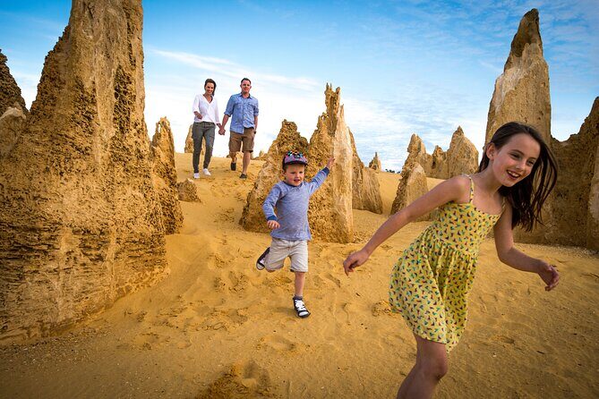 Luxury Pinnacles Tour- Private Chauffeur-Tailored Schedule - The Pinnacles: lookouts, beaches, and wildflower roadside moments