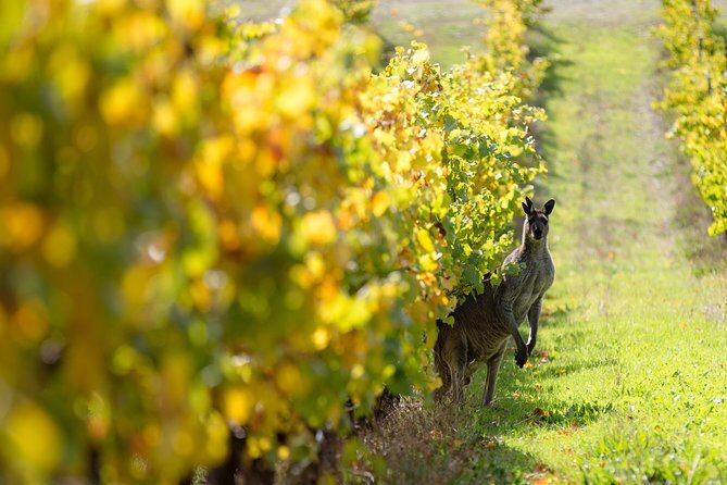 Margaret River 3 Day Escape - Where this trip fits best (and who should skip it)
