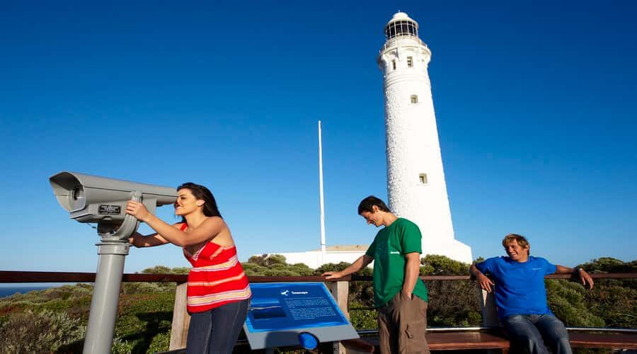Margaret River and Busselton Jetty: Day Trip from Perth - Lunch, Wine, Beer, and Cider: How Included Tastings Affect the Value