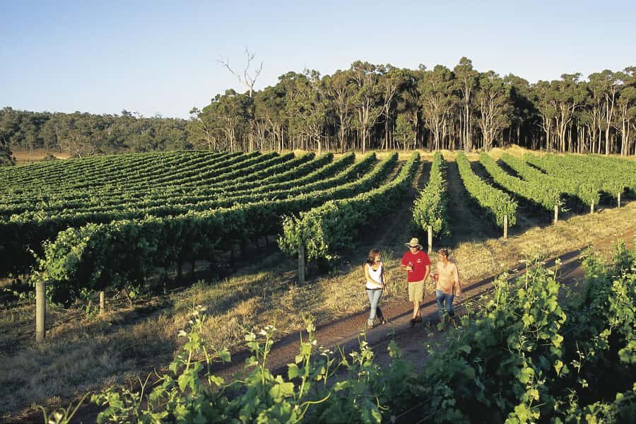 Margaret River, Chocolate, Wine & Coast Day Trip from Perth - Chocolate, Nougat, and Gourmet Tastings Without the Planning Headache