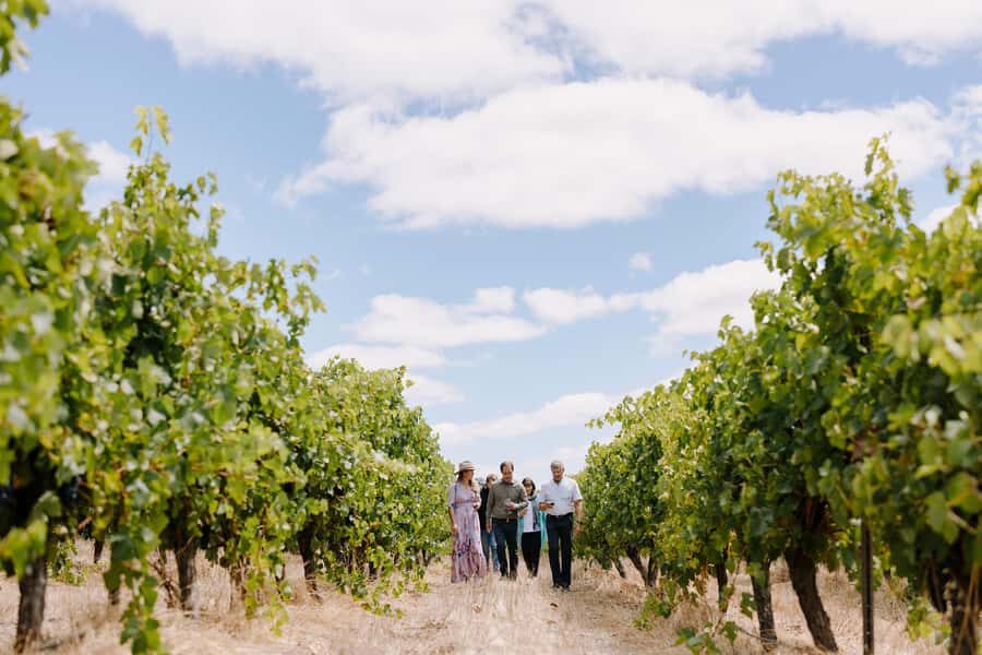 Margaret River, Chocolate, Wine & Coast Day Trip from Perth - Vasse Virgin: Soaps, Oils, and the Stuff You’ll Actually Want to Take Home