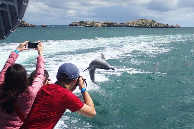 Margaret River Day Tour With Wildlife Cruise & Wine Tasting - Margaret River Town Time: Shops, Produce, and Real Small-Town Energy