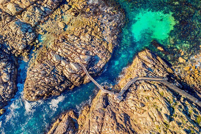 Margaret River Day Tour With Wildlife Cruise & Wine Tasting - Shoalwater Islands Marine Park Cruise: Wildlife Time You Can Feel