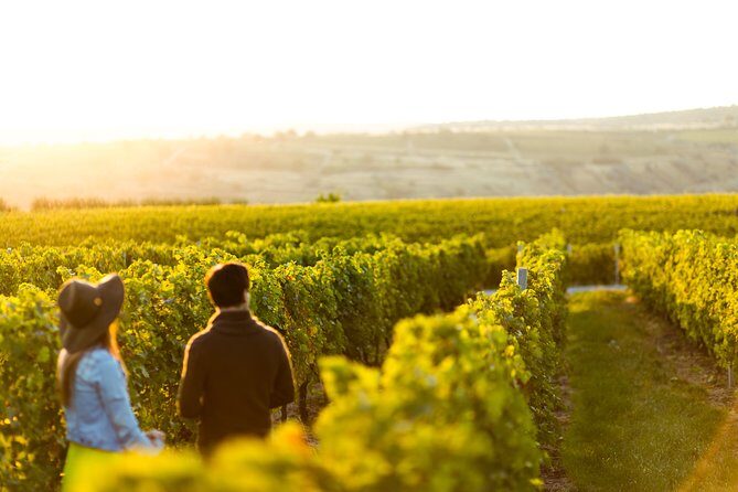 Margaret River Private Tour - Key things to know before you go