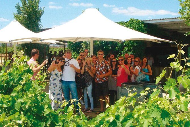 Out For The Afternoon - Half Day of Indulgence in the Swan Valley - Key Things That Make This Tour Worth Your Afternoon
