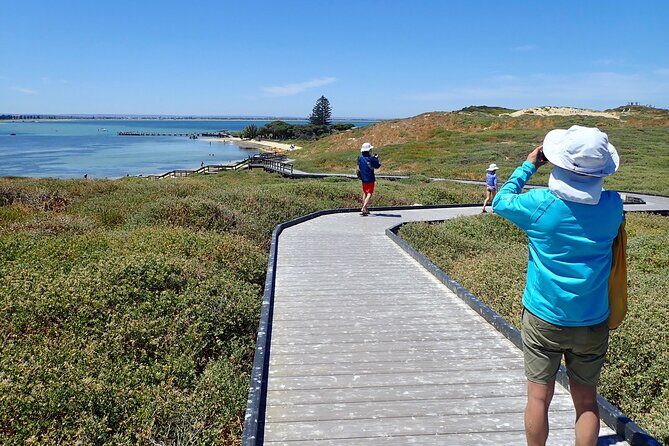 Penguin and Seal Islands Sea Kayaking Experience - Key Things I’d Plan Around Before You Go