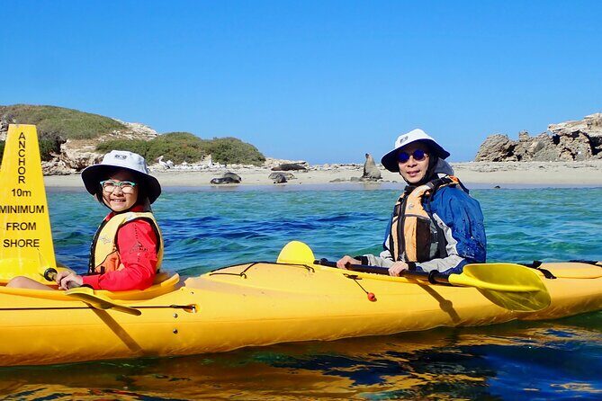 Penguin and Seal Islands Sea Kayaking Experience - Price and Value: What $142.01 Covers (and Why It’s Not Just a Rental)