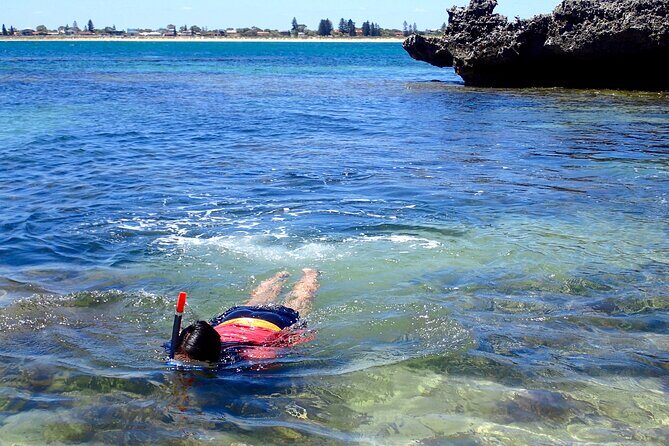 Penguin and Seal Islands Sea Kayaking Experience - Who This Tour Fits Best (Beginner Through Advanced)
