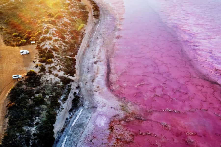 Perth: 4-Day Monkey Mia Pink Lake Coastal Loop Comfort Tour - Key Points to Know Before You Go