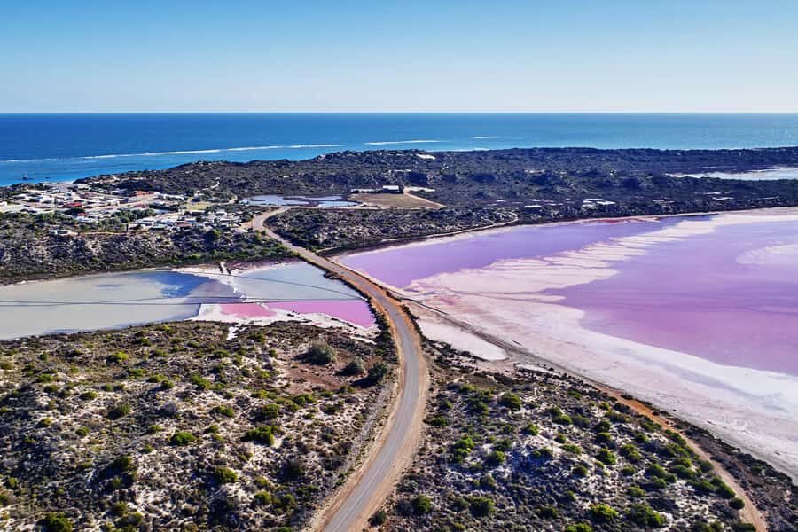 Perth: 7 Day Exmouth Explorer & Ningaloo Reef Return Perth - Food and “guest participation dinners”