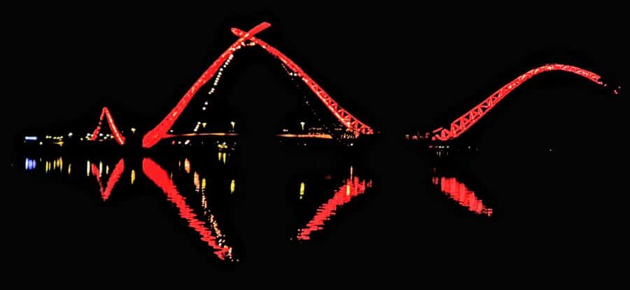 Perth: City of Lights Tour with Dessert - Kings Park: Skyline and River Views That Feel Worth the Trip
