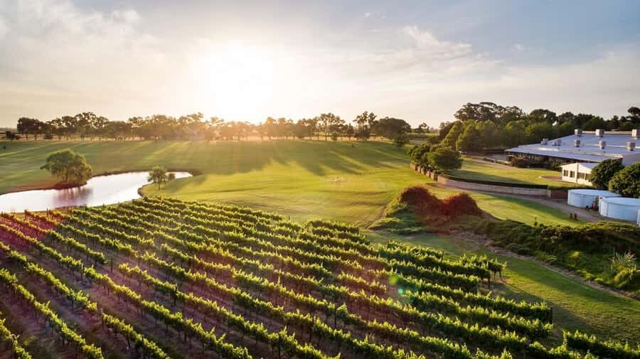 Perth: Full Day Swan Valley Cruise & Wine Tasting With Lunch - 3) Wine tasting on board plus lunch with wine: the best kind of structure