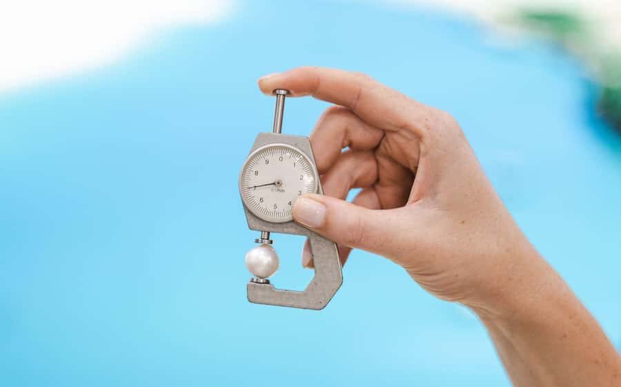 Perth: Harvest Your Own Pearl Experience - Jewelry Showroom Time: What to Do If You Want a Setting