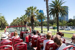 Perth: Hop-on Hop-off Sightseeing Bus Ticket - Open-Top Views of Kings Park and Perth’s Best Angles