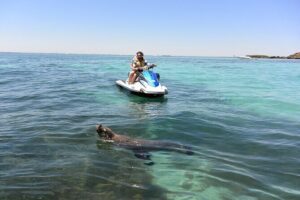 Perth Jet Ski Tour - The Route: Cockburn Sound and Garden Island Without the Guesswork