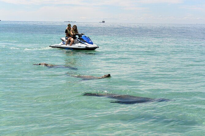 Perth Jet Ski Tour - Riding Solo or Sharing: How Turn-Taking Works