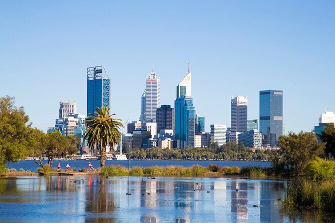 Perth, Kings Park, Swan River, Fremantle and Optional Cruise - Price and What You’re Really Buying for $164.25
