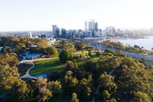 Perth, Kings Park, Swan River, Fremantle and Optional Cruise - Kings Park Treetop Walk: The Part Most People Will Remember