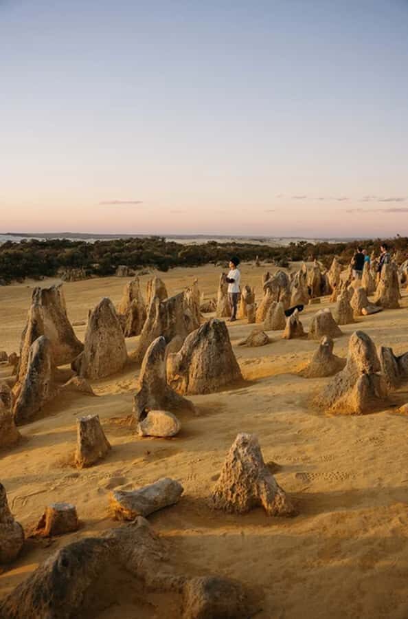 Perth: Pinnacles Desert Sunset & Stargazing with Dinner - Value for $159: what you’re paying for