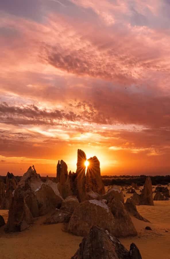 Perth: Pinnacles Desert Sunset & Stargazing with Dinner - From Perth to Yanchep: starting with koalas and wild kangaroos