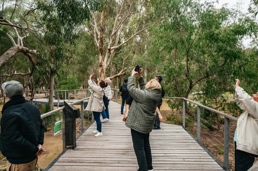 Perth: Pinnacles Desert Sunset & Stargazing with Dinner - Getting oriented in the desert: easy habits that prevent stress