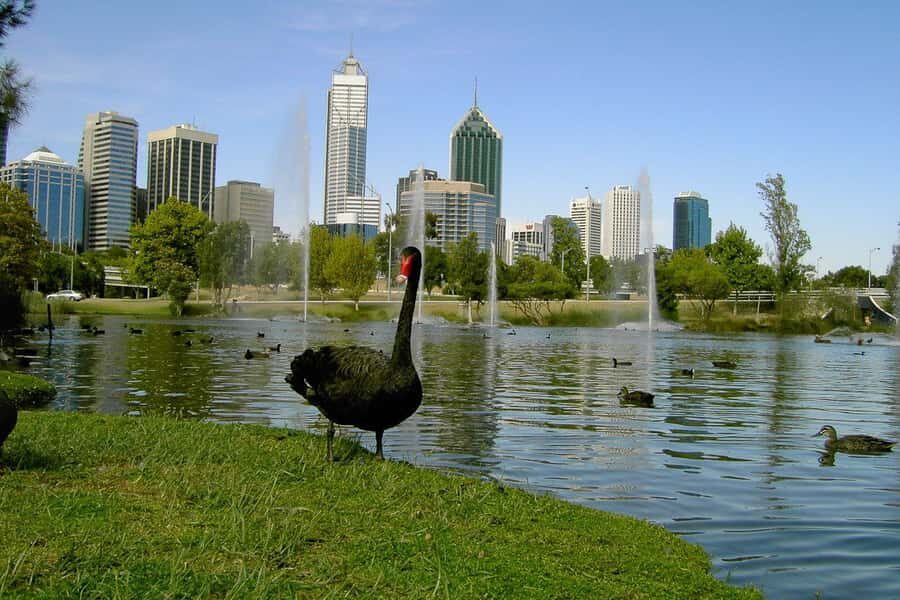 Perth Riverside Segway Tour - Training and safety: how the guides turn nerves into control