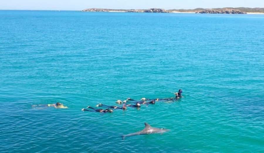 Perth: Swim with Wild Dolphins Tour - On-Board Platters After the Swim: Food That Actually Fuels the Day