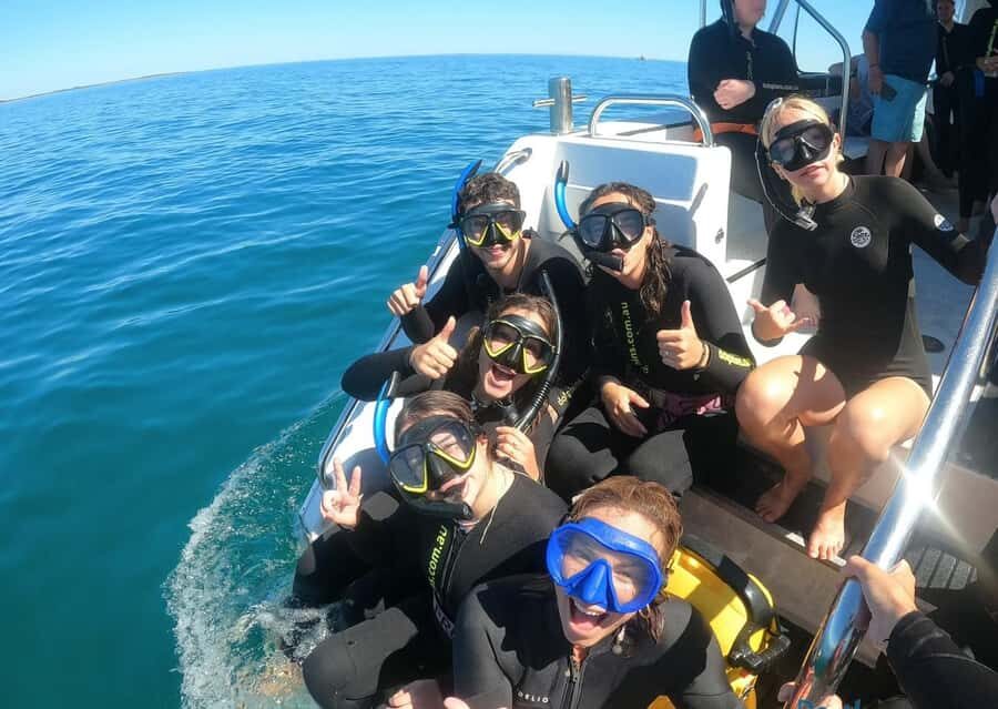 Perth: Swim with Wild Dolphins Tour - Should You Book This Perth Dolphin Swim Tour?