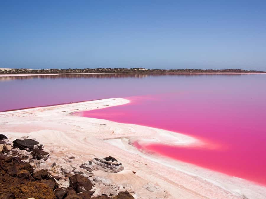 Perth to Exmouth & Return with Monkey Mia & Ningaloo Reef - The big idea: a guided Perth to Exmouth route that hits the icons