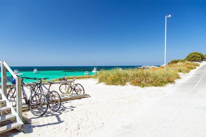 Perth to Rottnest Island Roundtrip Ferry Ticket - Ferry comfort that actually helps: WiFi, restrooms, and timing