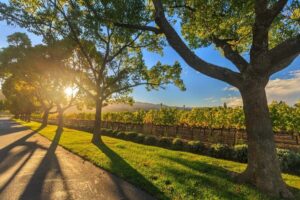 Perth Wildlife Park & City Highlights - Small Group Tours - Pickup timing: how to choose the smoothest start