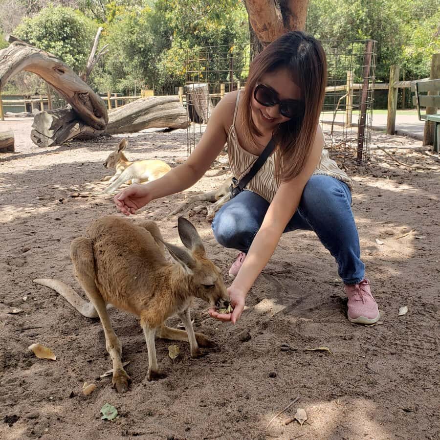 Perth Wildlife Park & City Highlights - Small Group Tours - Caversham Wildlife Park: the skip-the-line start that makes the day