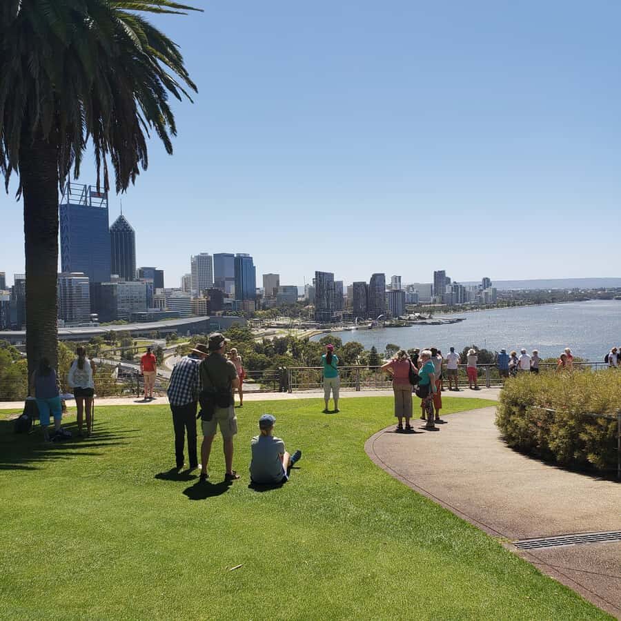 Perth Wildlife Park & City Highlights - Small Group Tours - Swan Valley wine tasting and lunch: where the day really slows down