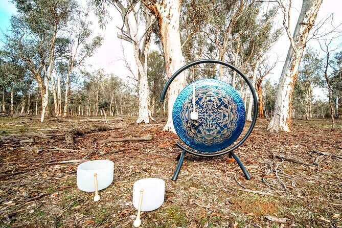 Perth Wildlife Tour Under the Stars with Dinner - What I’d pack and how to prepare