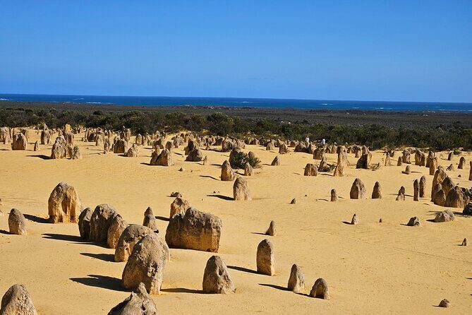 Pinnacle Day Adventure Tour - Pinnacles Desert walk at Nambung National Park