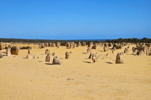 Pinnacle Day Adventure Tour - Cervantes Lobster Shack: seafood lunch plus the behind-the-scenes bit