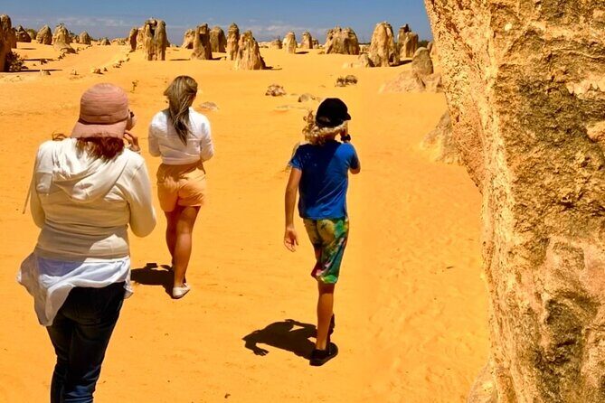 Pinnacles Desert and Catch Your Own Lobster Lunch Safari. - The 4WD ride north: using off-road access to reach the Pinnacles