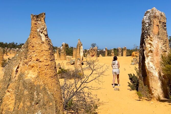 Pinnacles Desert and Catch Your Own Lobster Lunch Safari. - Lancelin Sand Dunes: sandboarding time and a classic Aussie finish