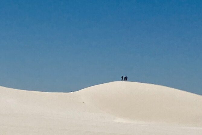 Pinnacles Desert and Catch Your Own Lobster Lunch Safari. - Who should book this tour (and who should reconsider)