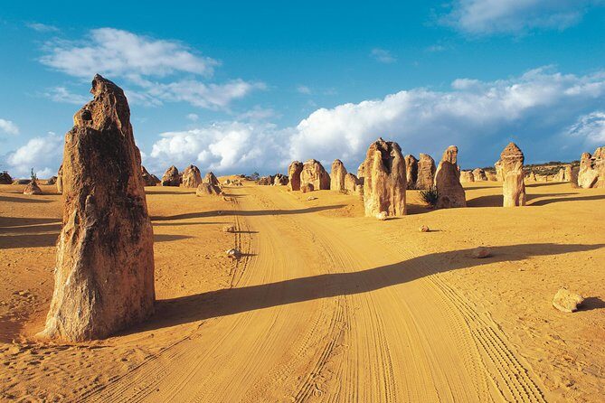 Pinnacles Desert, Koalas and Sandboarding 4WD Day Tour from Perth - Key things I’d zero in on