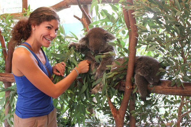 Pinnacles Desert, Koalas and Sandboarding 4WD Day Tour from Perth - Who this tour suits best (and who should pick a different style)