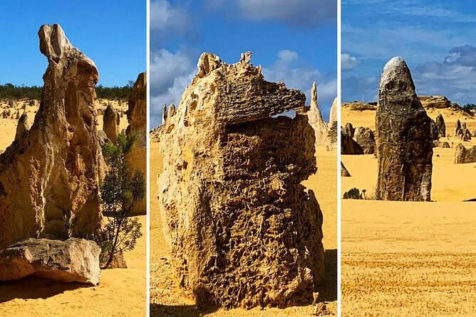 Pinnacles Desert Private Day Tour - Yanchep National Park: Optional Kangaroos and a $10 Per Person Add-On