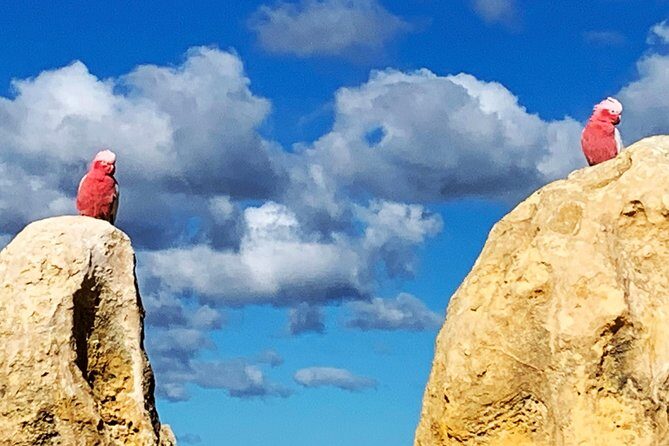 Pinnacles Desert Private Day Tour - Cervantes Lunch Break: 1 Hour to Eat Well and Reset
