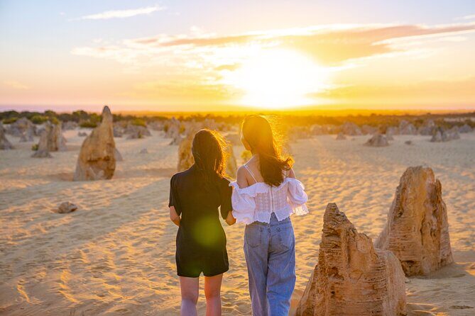 Pinnacles Desert Sunset Stargazing Adventure Tour from Perth - Nilgen Lookout and the bush-and-bay options