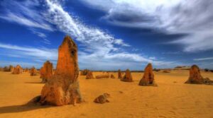Pinnacles, Koalas, 4WD & Sandboarding Tour from Perth - Perth Pick-Up and the Swan Valley Wildlife Break at Caversham