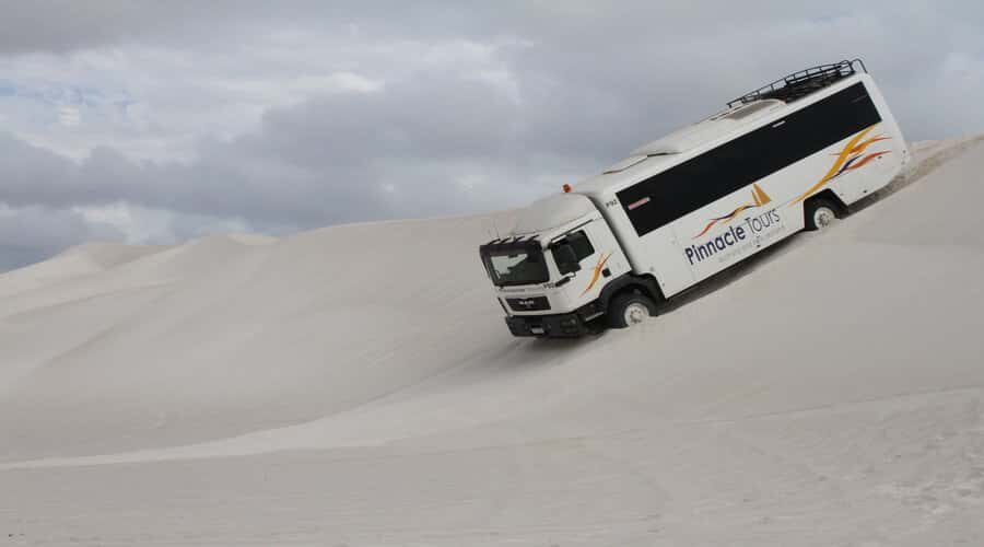 Pinnacles, Koalas, 4WD & Sandboarding Tour from Perth - Cervantes for Fish and Chips, Plus the Lobster Shack Stop Some People Question